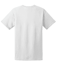 5170 PLAYERA CABALLERO MC HANES ECOSMART